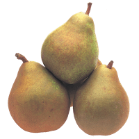 Taylors Gold Pears (kg)