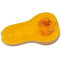 Butternut (1pk)