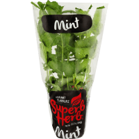 Mint in Large Pot (1pk)