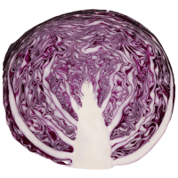 Organic Red Cabbage Half (1pk)