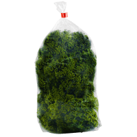 Organic Curly Kale (200g)