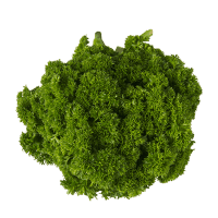 Curly Parsley (ea)