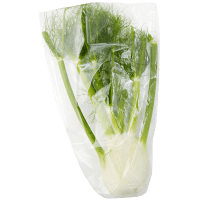 Organic Fennel (ea)