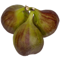 Figs. (ea)