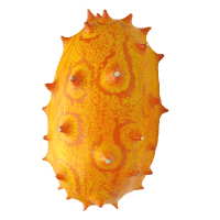 Kiwano (1pk)