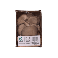 Oyster Phoenix Tail Mushrooms (100g)