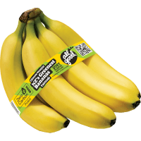Fair Trade Bananas (850g)