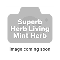 Mint (1pk)