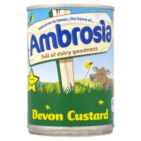 Devon Custard (400g)