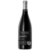 Paradox Shiraz (750ml)