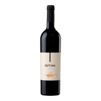 Malbec (750ml)