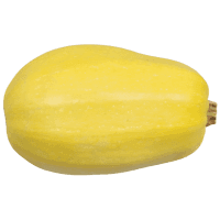 Spaghetti Squash (ea)
