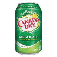 Ginger Ale (355ml)