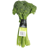Broccoletti (ea)