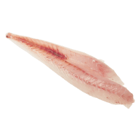 Frozen NZ Red Gurnard Fillets (kg)