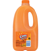 Orange Fruit Flavoured Drink (2l)
