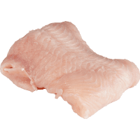 NZ Elephant Fish Fillets (kg)
