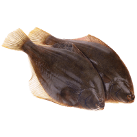 Gutted Turbot (kg)