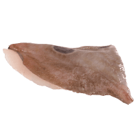 John Dory Fillets (kg)