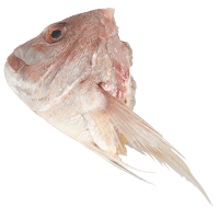 NZ Snapper Heads (kg)