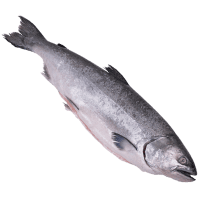 Whole Baby Salmon (kg)