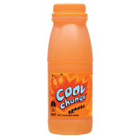 Orange Fruit Drink (300ml)