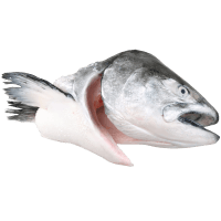 Salmon Heads (kg)