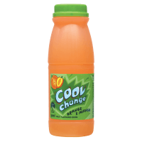 Orange & Mango Fruit Flavoured Drink (300ml)