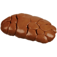 NZ Ox Kidney (kg)