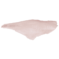 NZ Orange Roughy Fillets (kg)