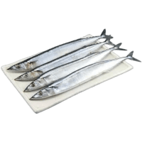 Whole Frozen Sanma (9kg)