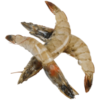 Whole Raw Vannamei Prawns (Prefrozen) (kg)