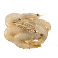 Whole Raw Banana Prawns (Frozen) (kg)