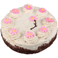 Tiramisu Gateau 9 Inch (1pk)