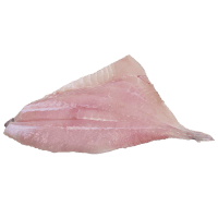 NZ Lookdown Dory Fillets (kg)