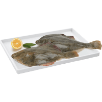 Yellow Belly Gutted Flounder (kg)