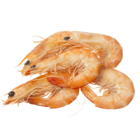 Whole Cooked Large Prawns (Prefrozen) (kg)