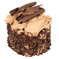 Blackforest Gateau Cake Small (1pk)