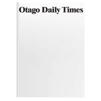 Newspaper (1pk)