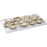 Bluff Oysters (12pk)