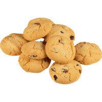 Sultana Biscuits (10pk)