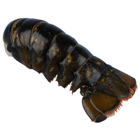 Raw Lobster Tail (Prefrozen) (1ea)