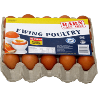 Cage Free Barn Mixed Grade Eggs (20pk)
