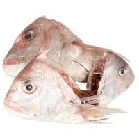 NZ Snapper Heads Smoked (kg)