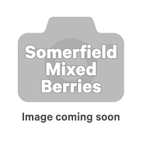 Frozen Mixed Berries (500g)