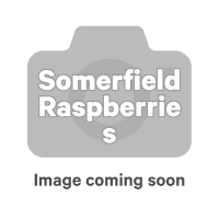 Raspberries (500g)