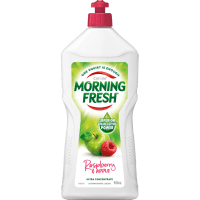 Raspberry & Apple Dishwashing Liquid (900ml)