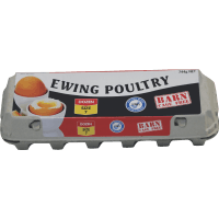 Cage Free Barn Size 7 Eggs (12pk)