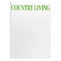 Special Magazine (ea)