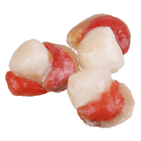 Shucked Scallops (Prefrozen) (kg)